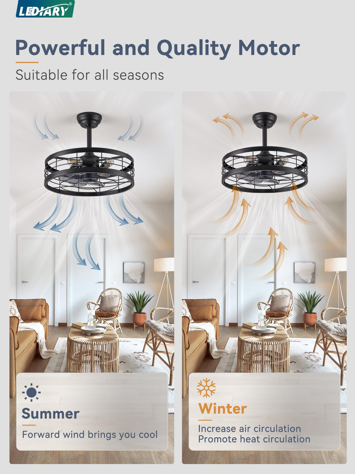 LEDIARY 20-Inch Fandelier Caged Ceiling Fan with Light | Remote, 6 Speed, Timing – Black