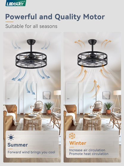LEDIARY 20-Inch Fandelier Caged Ceiling Fan with Light | Remote, 6 Speed, Timing – Black