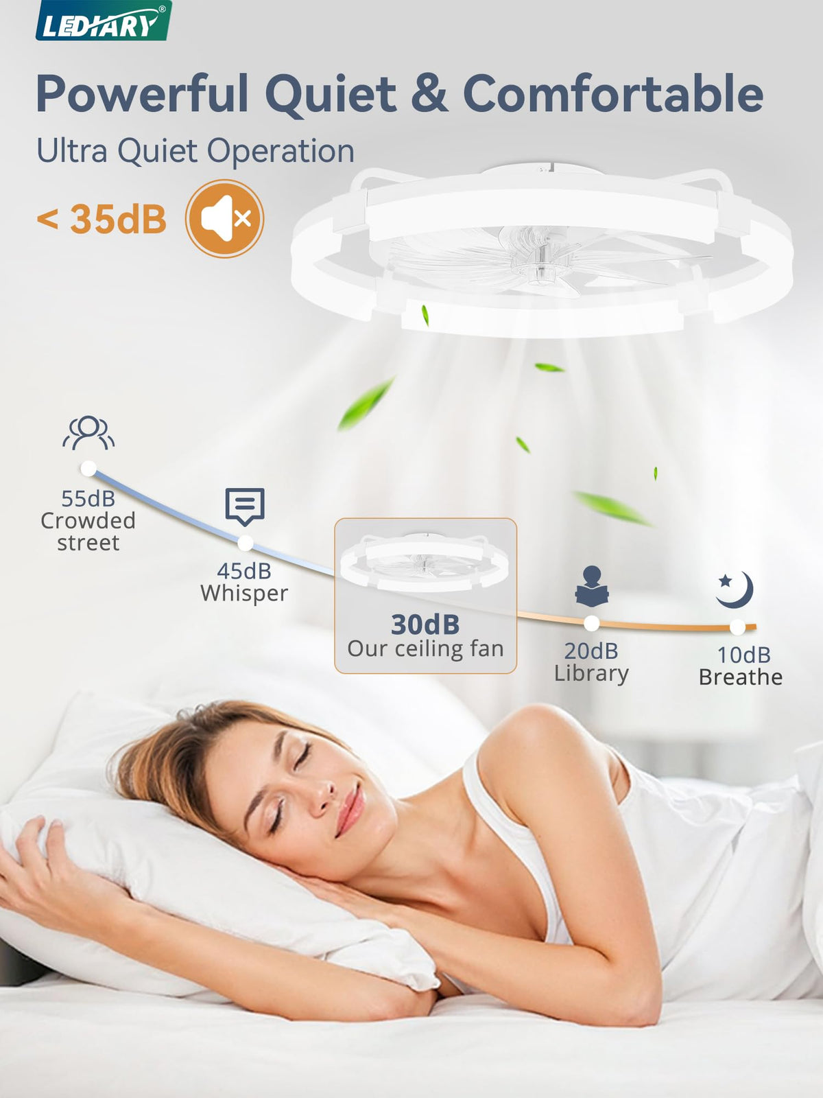 LEDIARY 24-inch Ceiling Fans with Lights & Remote — Low Profile Flush Mount, 3 CCT, Stepless Dimming, 6-Speed DC Motor, App & Remote