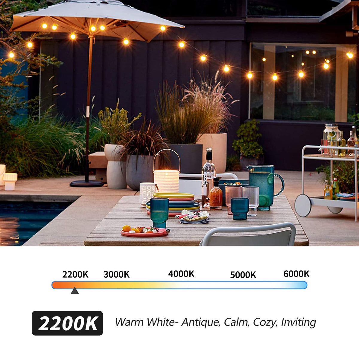 LiEiDi 50-Pack G40 LED Bulbs | E12 Base, 0.6W, 2200K Warm White for Outdoor String Lights
