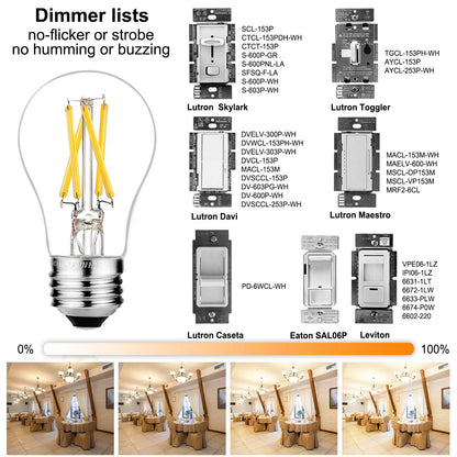 LiteHistory E26 Edison Bulb 6W=60W, Dimmable Daylight 5000K, 600lm, 6 Pack