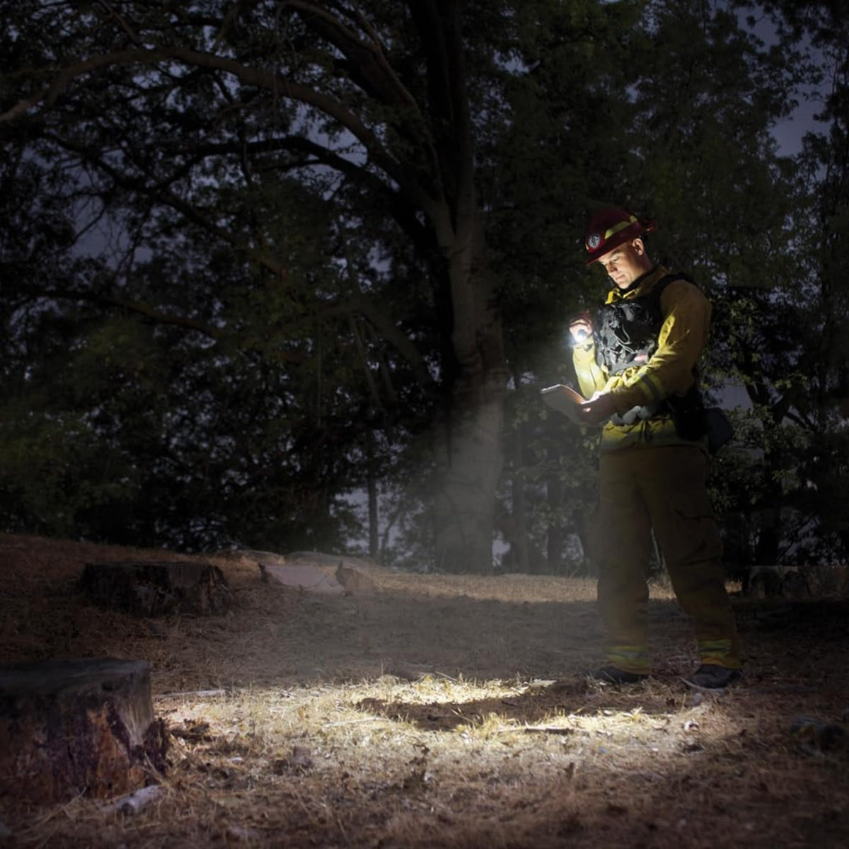 MagLite Mini MAG Pro LED Flashlight – 2-Cell AA, Adjustable Focus, Durable & Water-Resistant