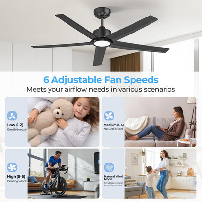 ocioc 52-Inch Ceiling Fan with Lights, Black – Remote, 3CCT LED, Quiet DC Motor