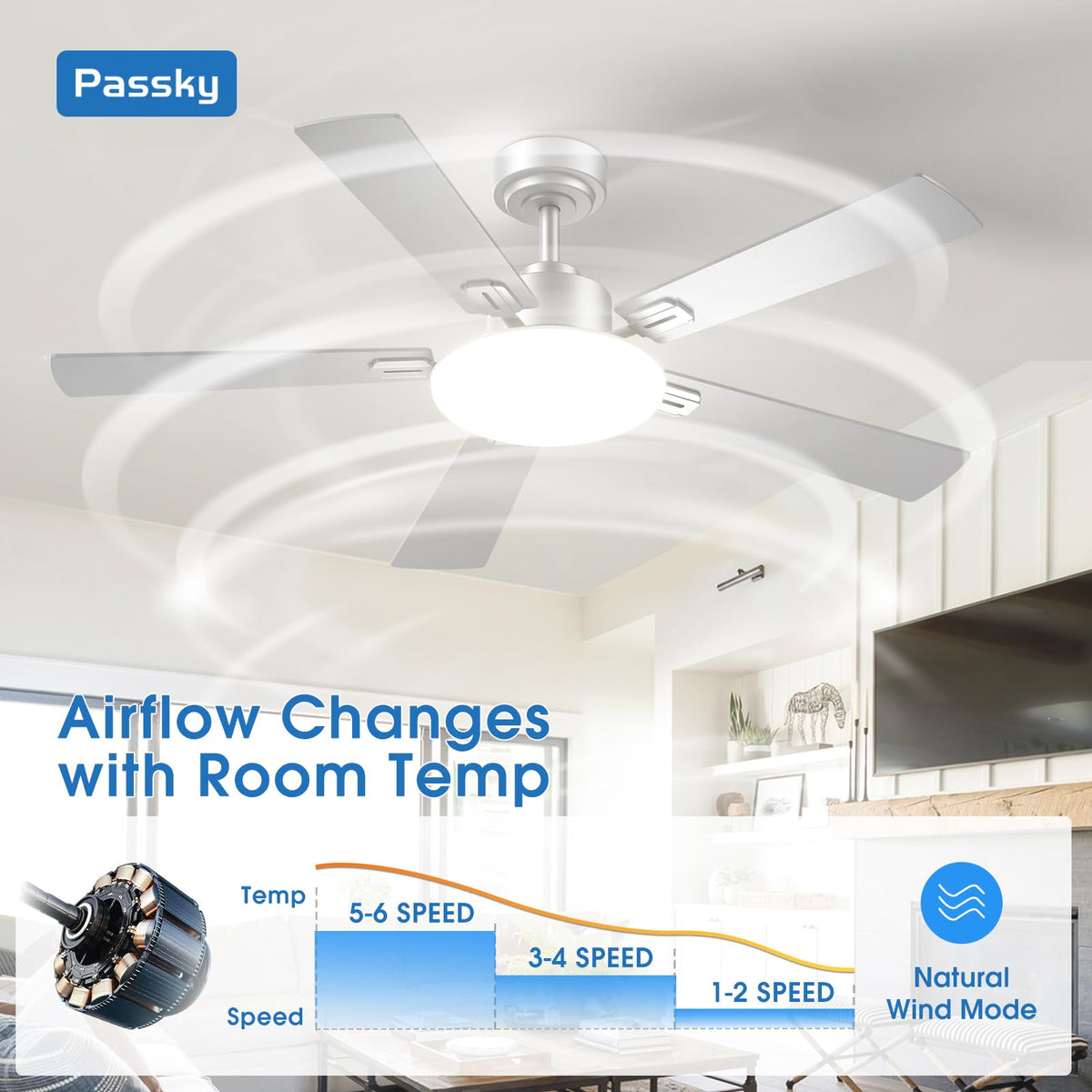 Passky 52-Inch Ceiling Fan with Light & Remote — Dimmable, 3CCT, Reversible DC Motor, Quiet