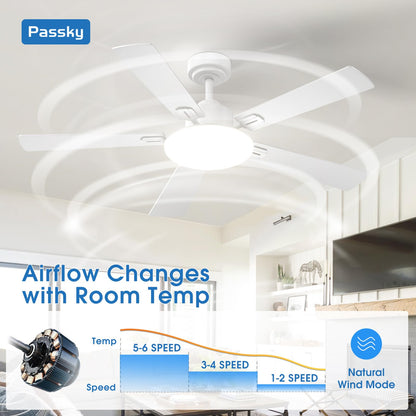 Passky 52-Inch Ceiling Fan with Light & Remote – Dimmable, 3-CCT, Quiet DC Motor