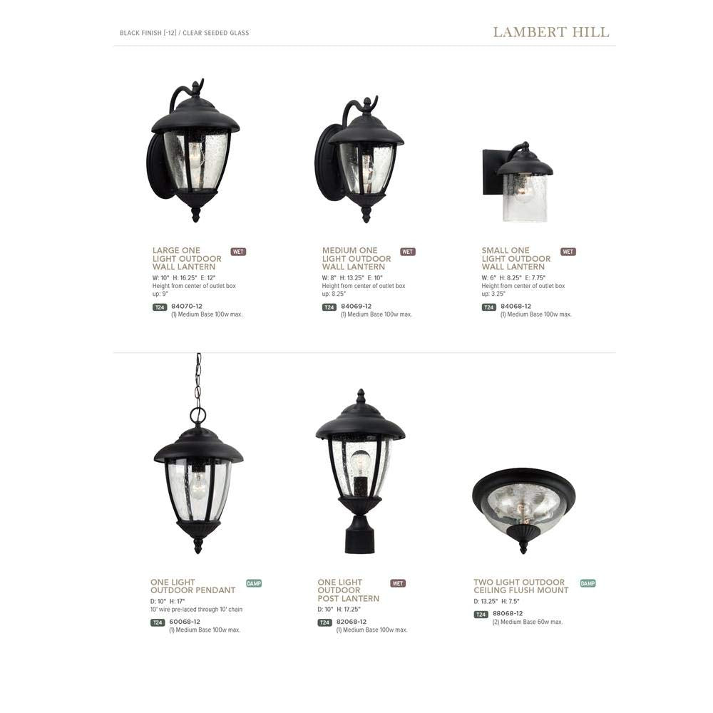 Progress Lighting 1-Light Indoor/Outdoor Flush Mount Ceiling Light - Black Finish