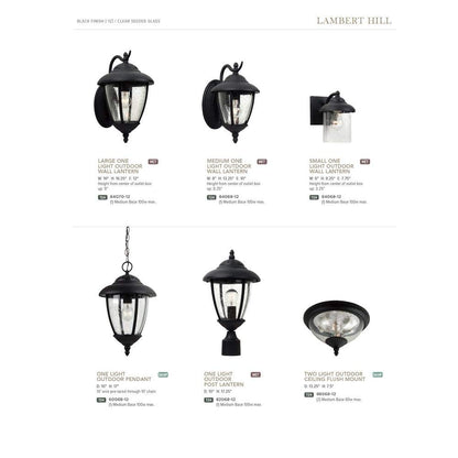 Progress Lighting 1-Light Indoor/Outdoor Flush Mount Ceiling Light - Black Finish