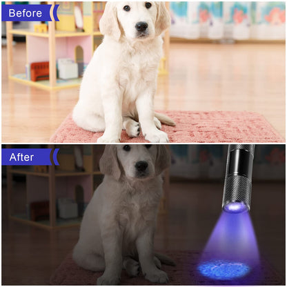 ROCEEI 10-Piece UV Blacklight Flashlights | Portable Purple Light for Pet Stains & Inspections
