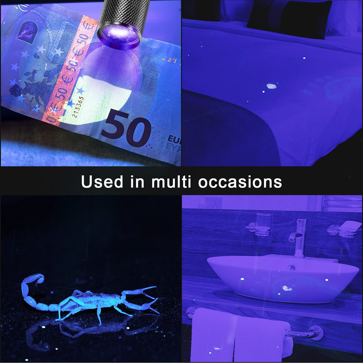 ROCEEI 10-Piece UV Blacklight Flashlights | Portable Purple Light for Pet Stains & Inspections