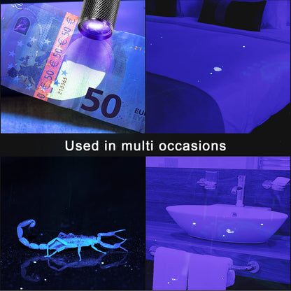 ROCEEI 10-Piece UV Blacklight Flashlights | Portable Purple Light for Pet Stains & Inspections