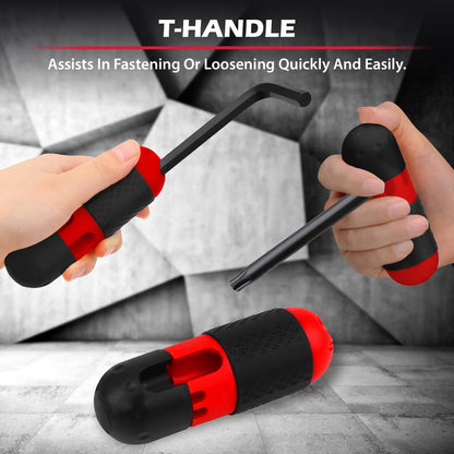 SEDY 41-Piece Hex Key Set with Torque Handle | SAE, Metric & Torx (Cr-V Steel, 3-Layer Case)