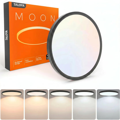 TALOYA 12in Flush Mount LED Ceiling Light | 20W, 5 Color Temperatures