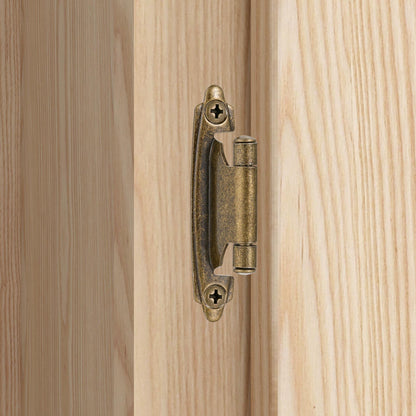 Vallecloud 10 Pack Antique Brass Self-Closing Hinges – 1/2 Overlay (Face Frame)
