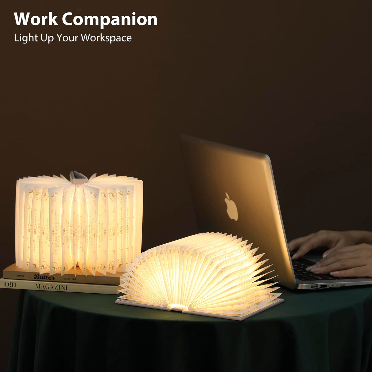 ZBOLE Magic Truth Book Light – Rechargeable LED Book Lamp (Pink)